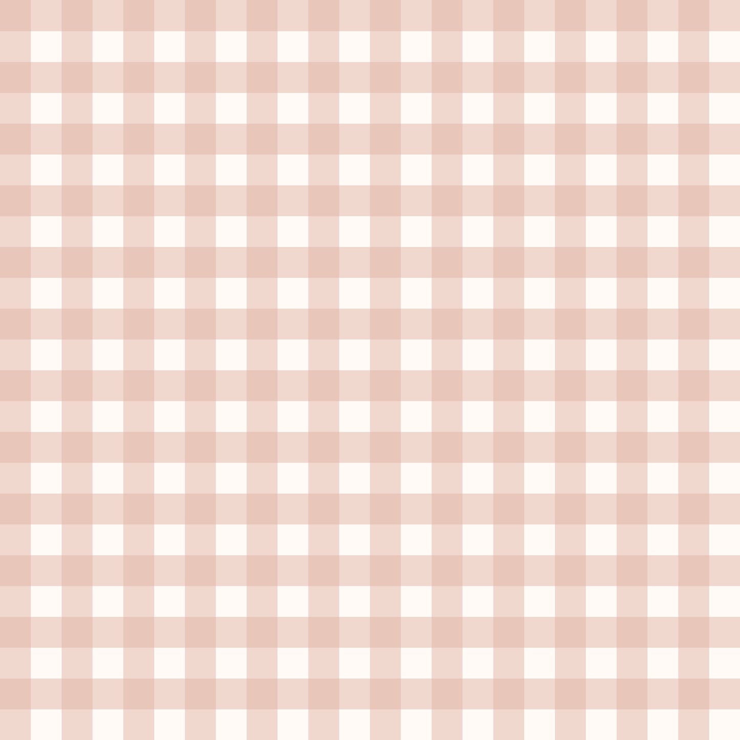 Baby Pink Gingham l Retail