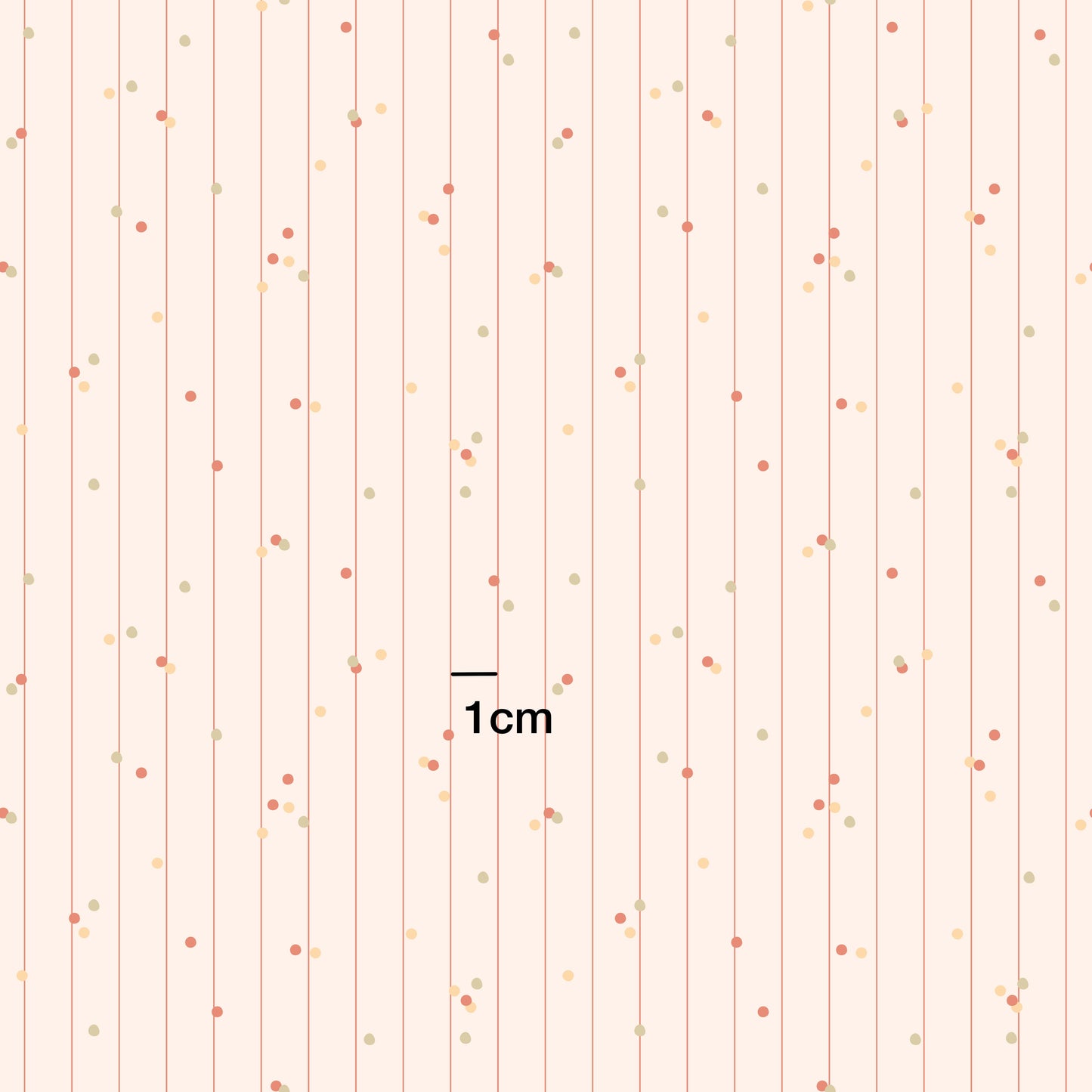 Confetti Sprinkle l Free Gift
