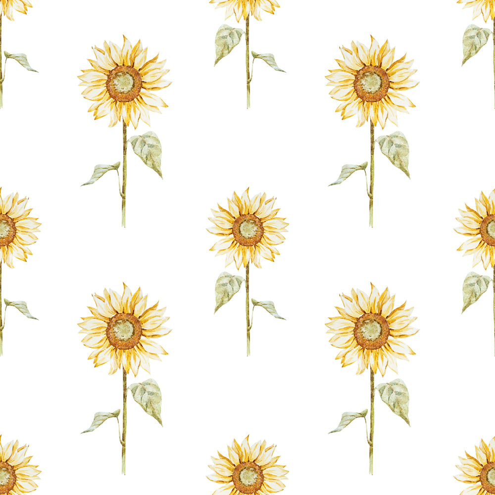 Sunflower l Pre-Order