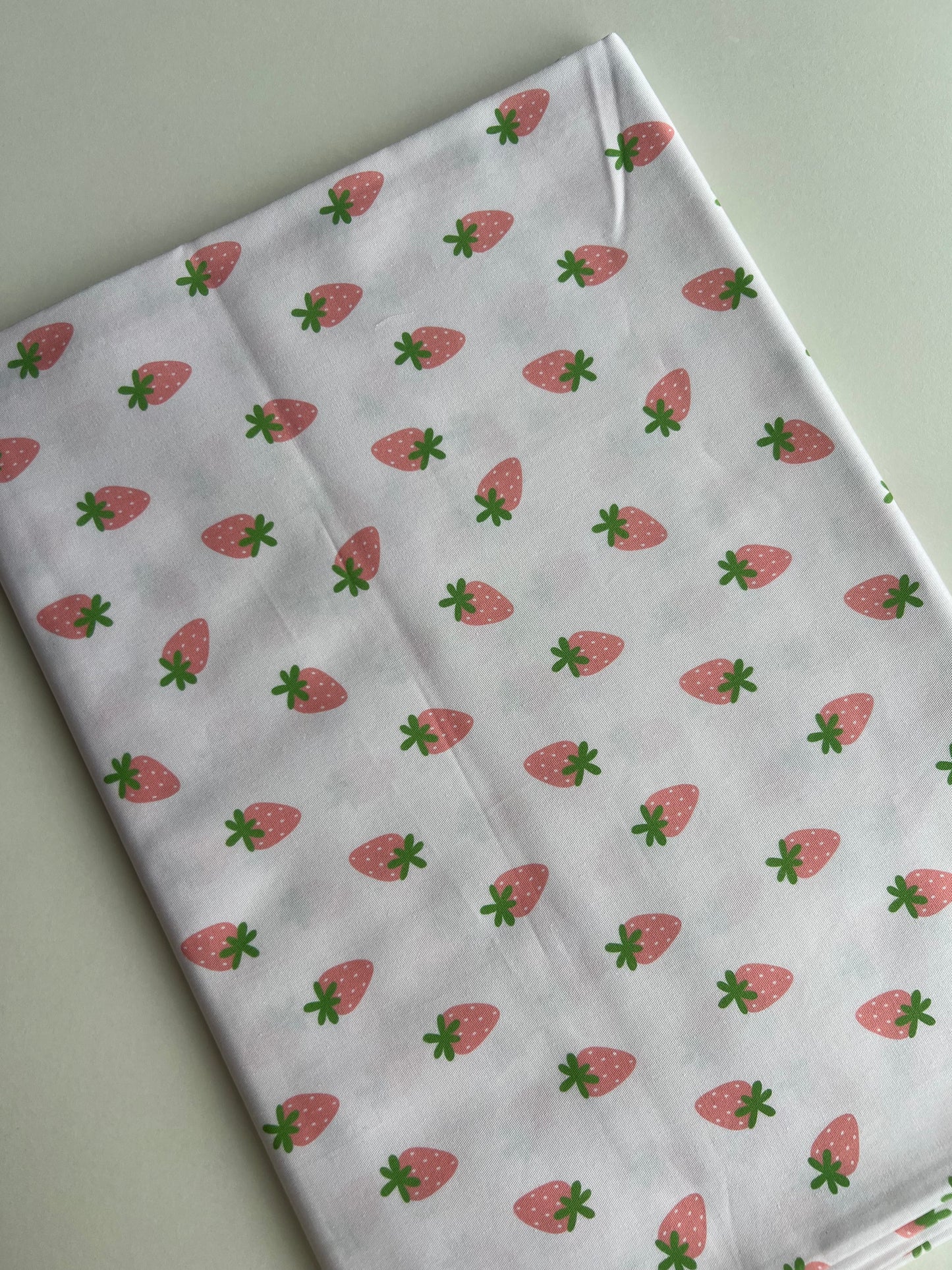 Pink Strawberry l Retail