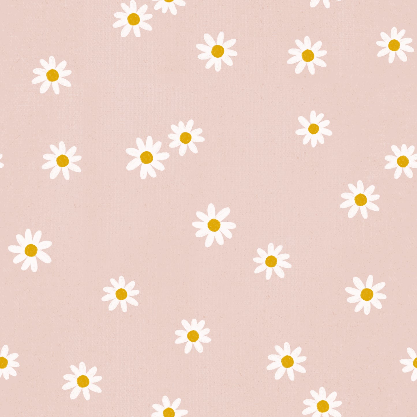 Pink Daisy l Retail