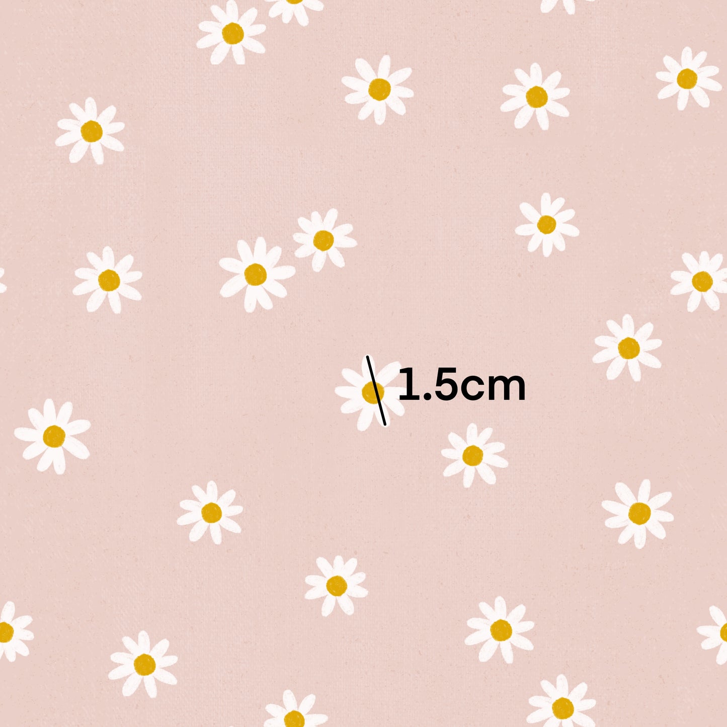 Pink Daisy l Pre-Order
