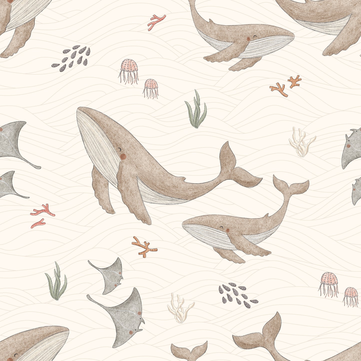 Sea Life l Pre-Order