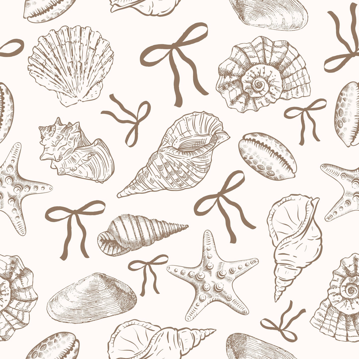 Seashells & Bows l Retail