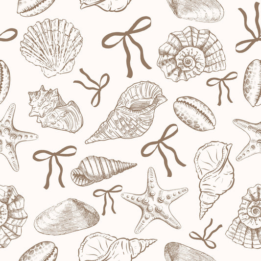 Seashells & Bows l Retail