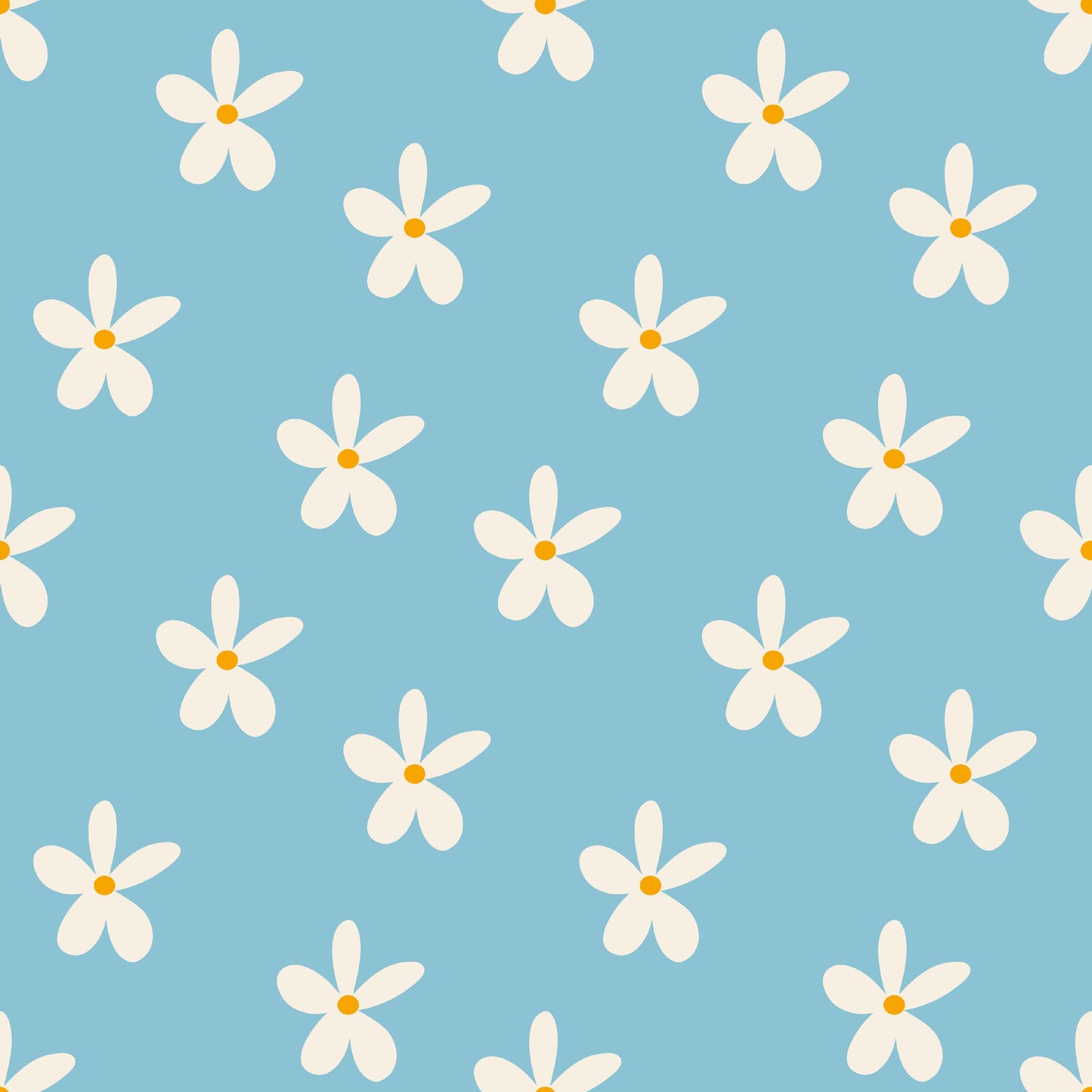 Sky Blue Daisy l Retail