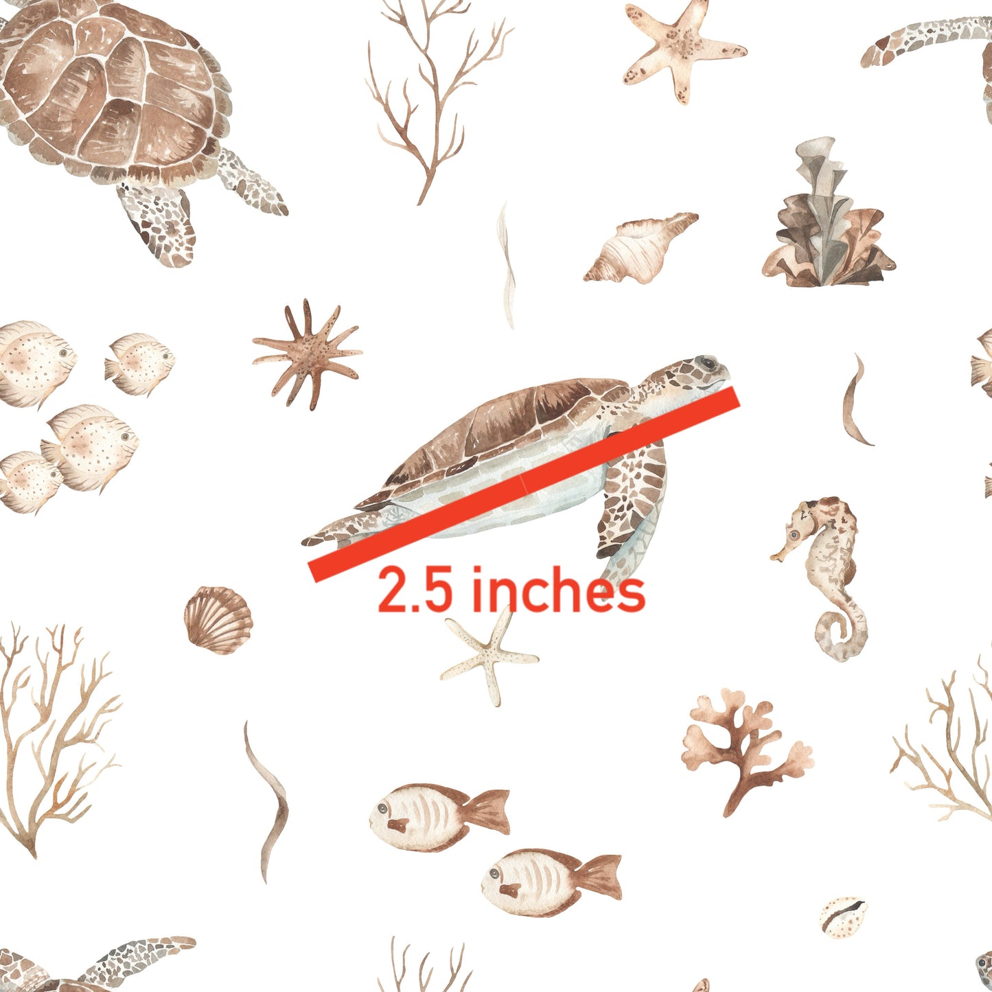 Turtle Reef l Pre-Order