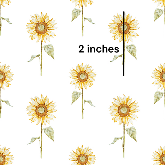 Sunflower l Pre-Order