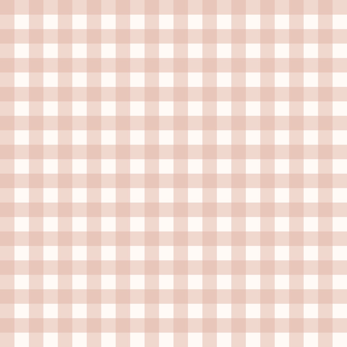 Baby Pink Gingham l Retail