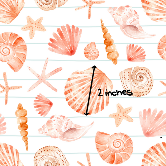 Beach Shells l Pre-Order