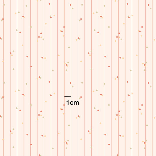 Confetti Sprinkle l Free Gift