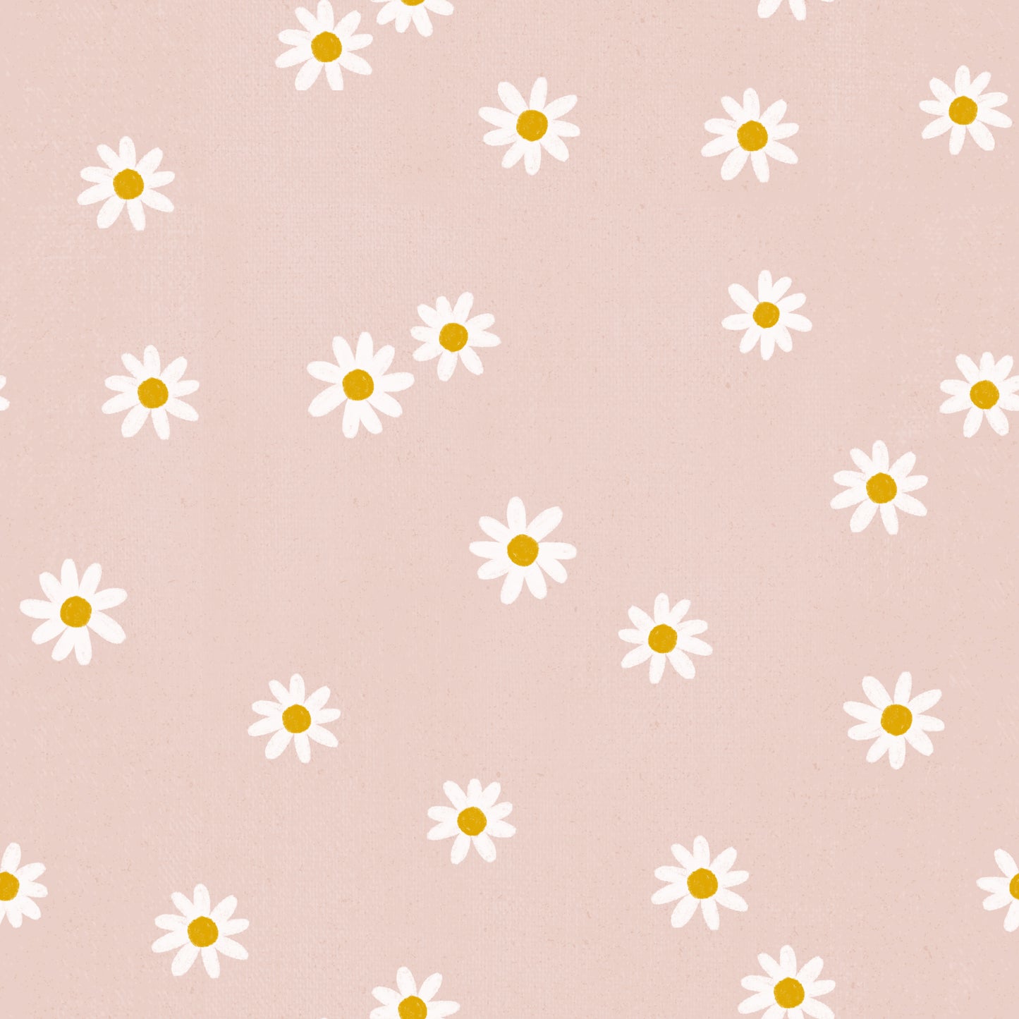 Pink Daisy l Pre-Order