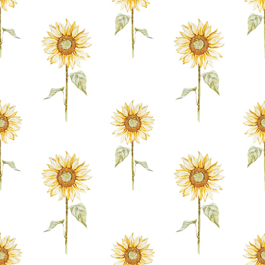 Sunflower l Pre-Order