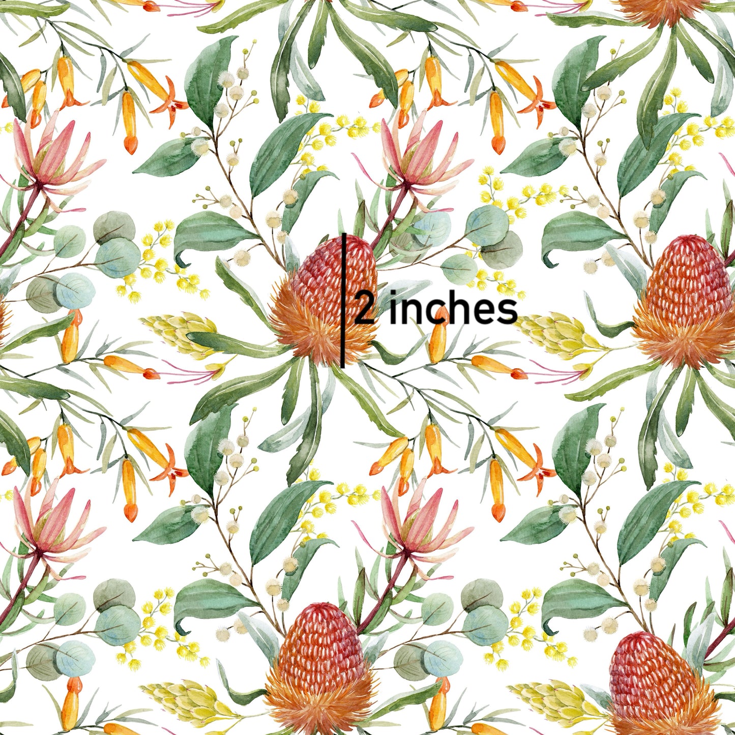 Banksia White l Pre-Order