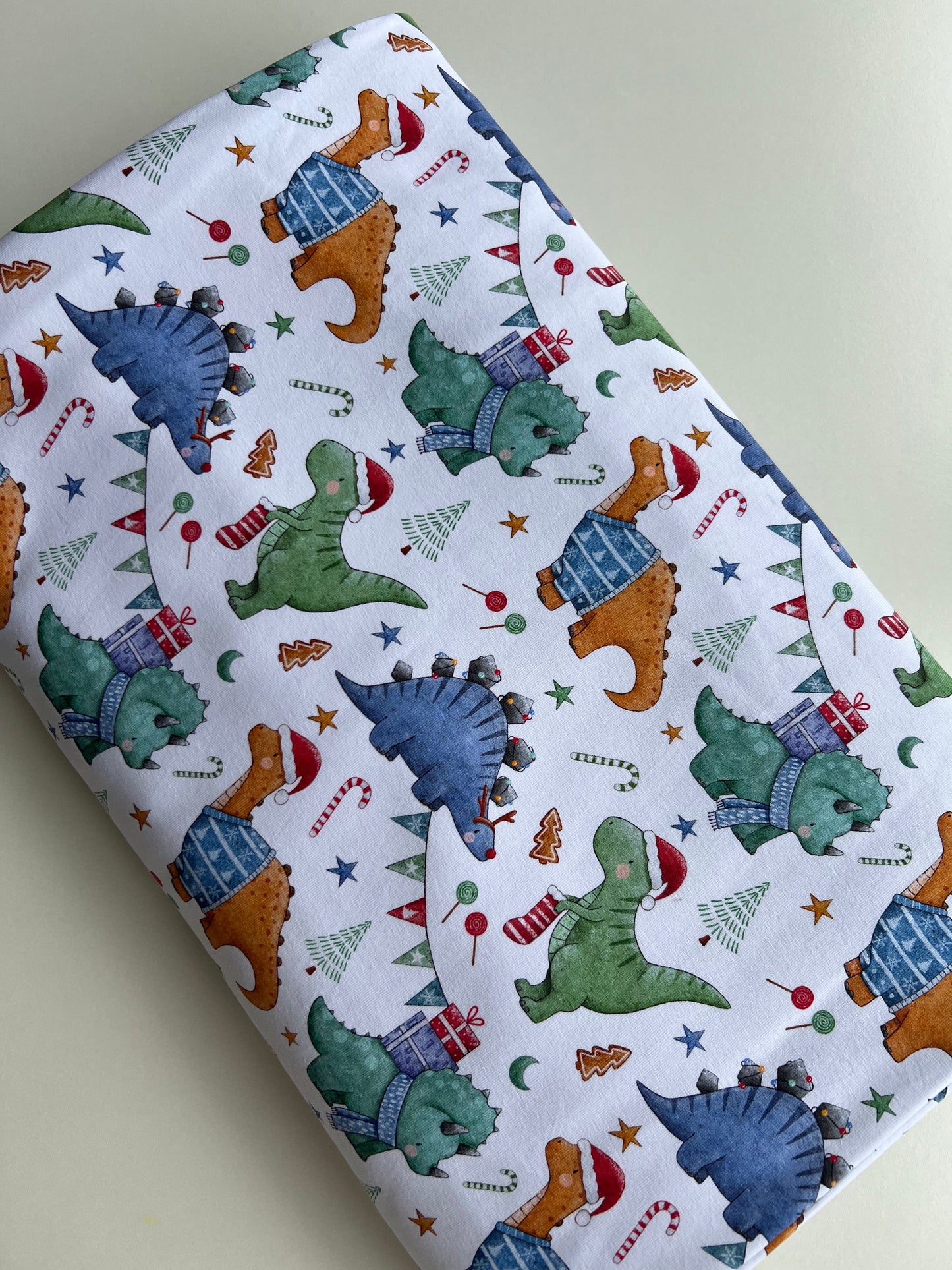 Dino Christmas l Retail