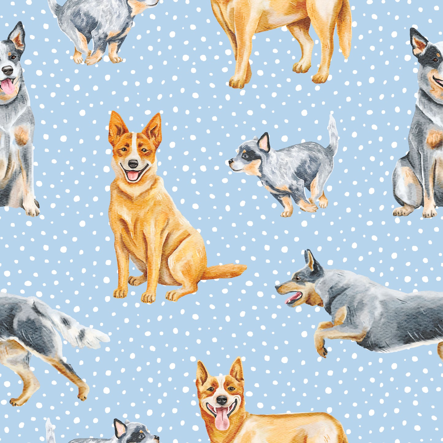 Red & Blue Heelers l Pre-Order