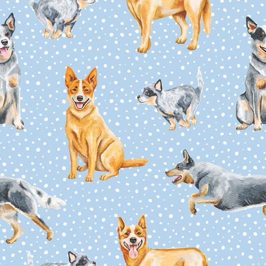 Red & Blue Heelers l Pre-Order
