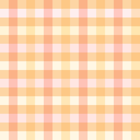 Spring Peach Gingham l Retail