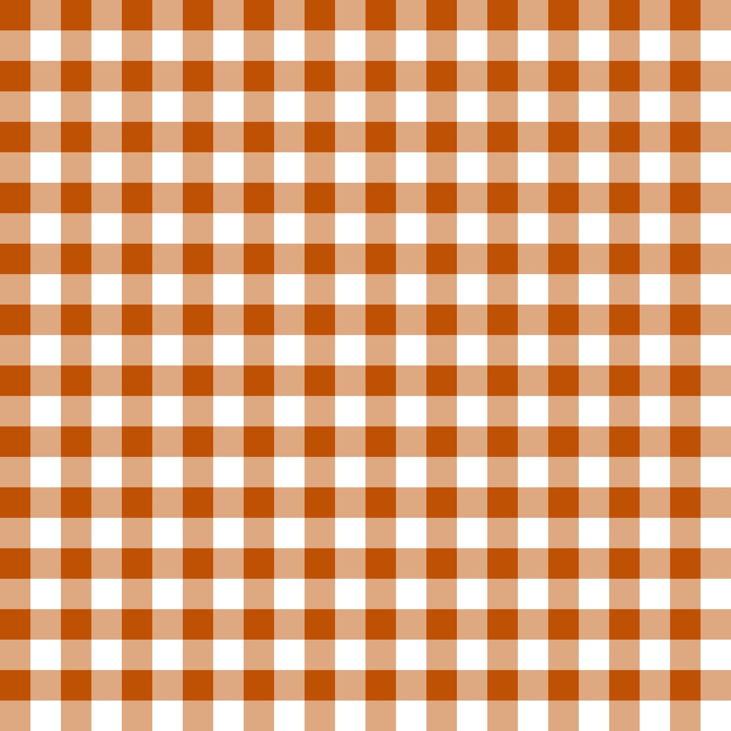 Terracotta Gingham l Pre-Order