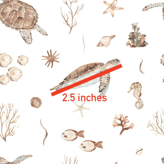 Turtle Reef l Pre-Order