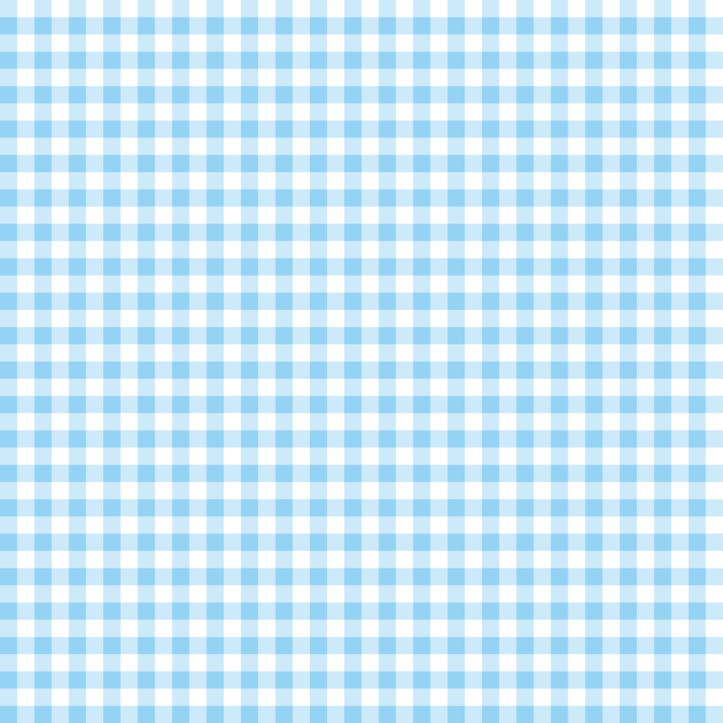 Blue Gingham l Pre-Order