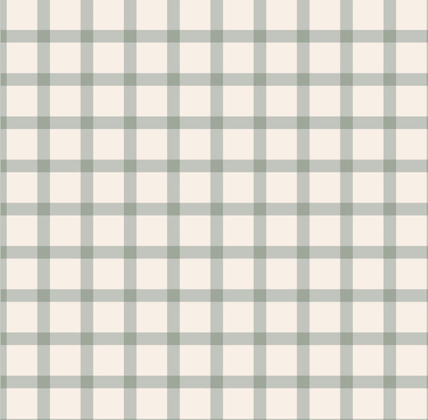Sage Green and Cream Gingham Woven - Retail
