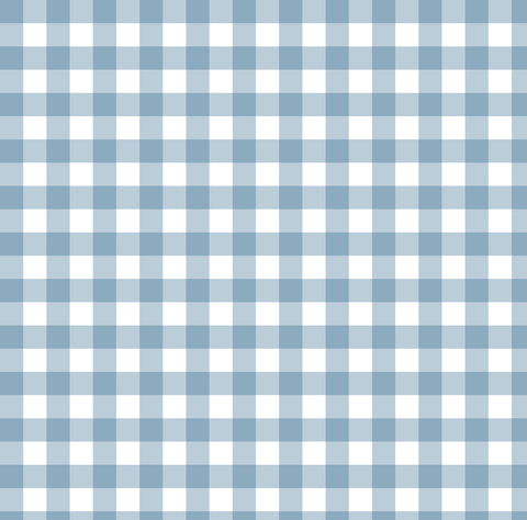 Vintage Blue Gingham Woven - Retail